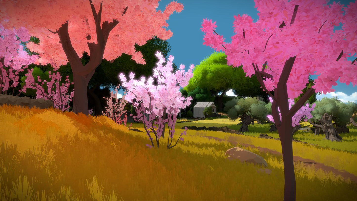 The Witness GOG.COM Key GLOBAL GOG.com -  - Thekla, Inc. [Email/Instant Delivery]