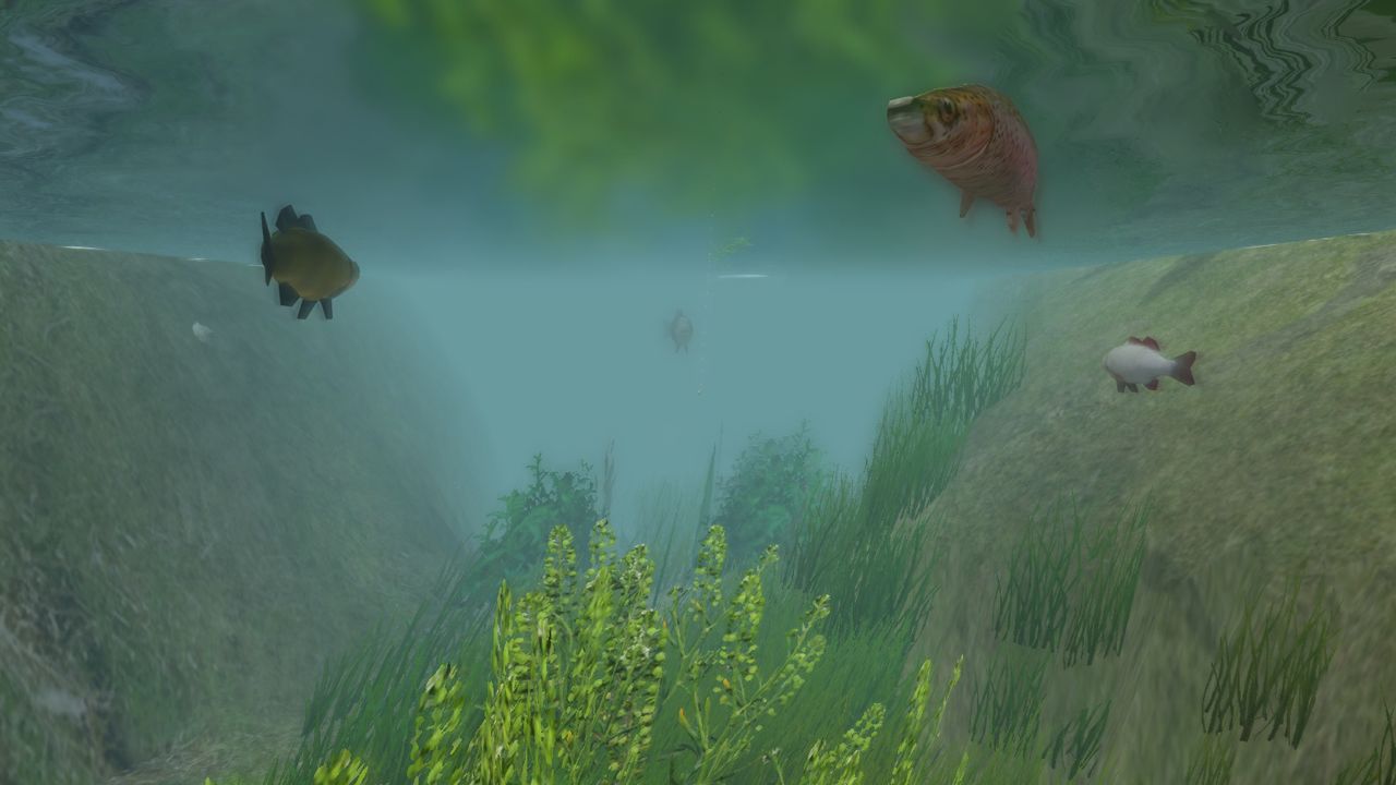 European Fishing Steam Key GLOBAL   - Libredia [Email/Instant Delivery]