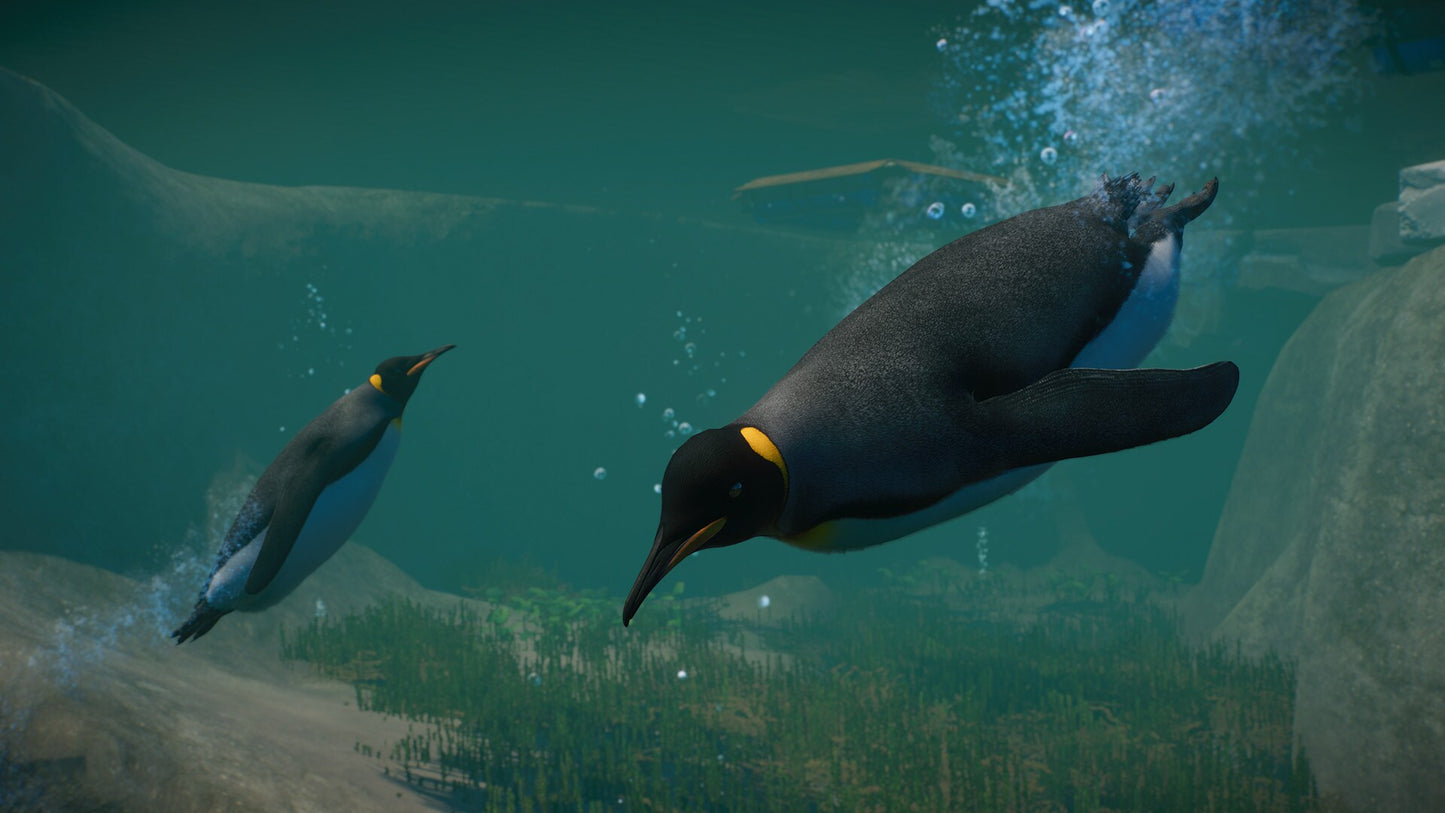 Planet Zoo: Aquatic Pack (PC) - Steam Key - GLOBAL   - Frontier Developments [Email/Instant Delivery]