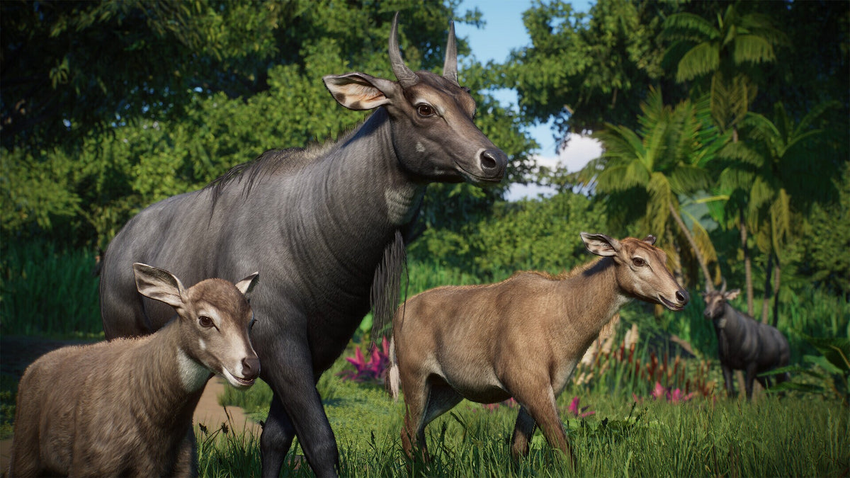 Planet Zoo: Asia Animal Pack (PC) - Steam Key - GLOBAL  [Email/Instant Delivery]