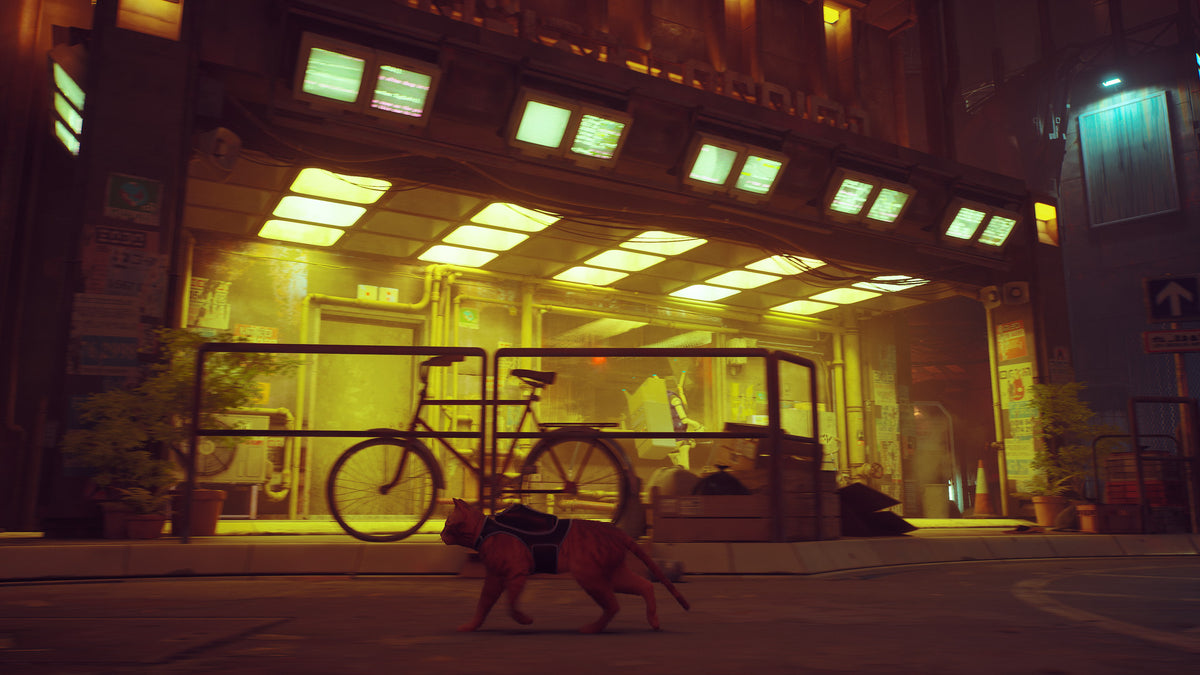Stray US XBOX One / Xbox Series X|S CD Key Xbox One -  United States  [Email/Instant Delivery]