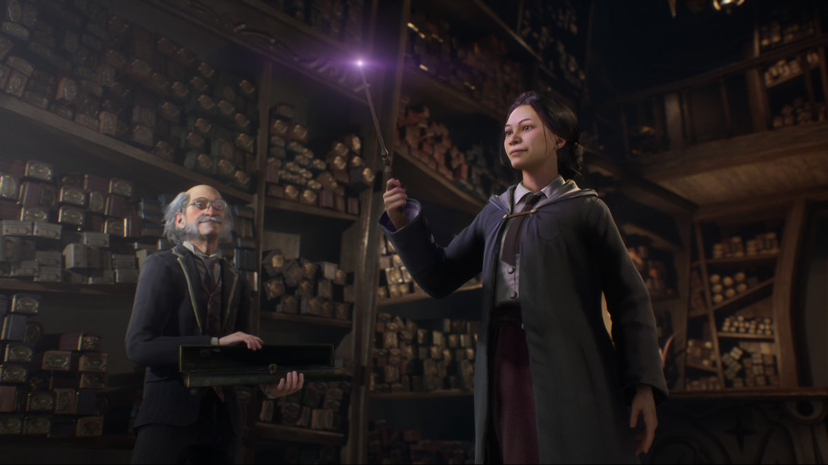 Hogwarts Legacy Digital Deluxe Edition PS4 Account PlayStation 4 -  REGION FREE Warner Bros. Games - [Email/Instant Delivery]