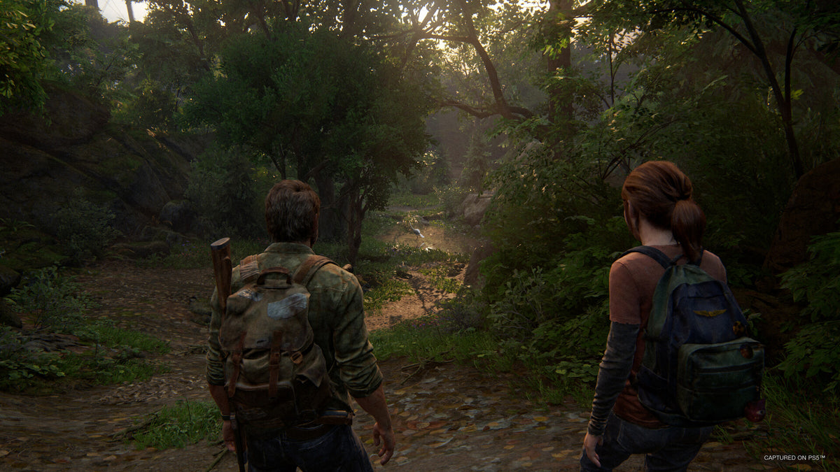 The Last of Us Part 1 PC Steam CD Key   Rest of the world (RoW) - custom PlayStation PC LLC - [Email/Instant Delivery]