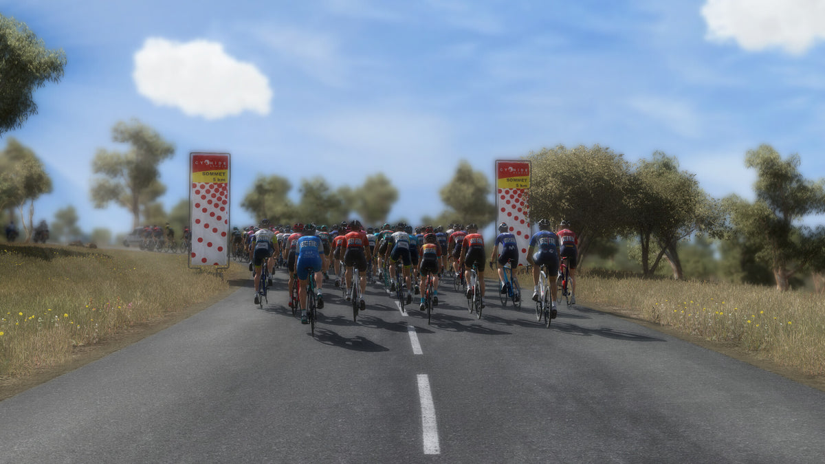 Pro Cycling Manager 2023 Steam Account  REGION FREE Nacon - [Email/Instant Delivery]