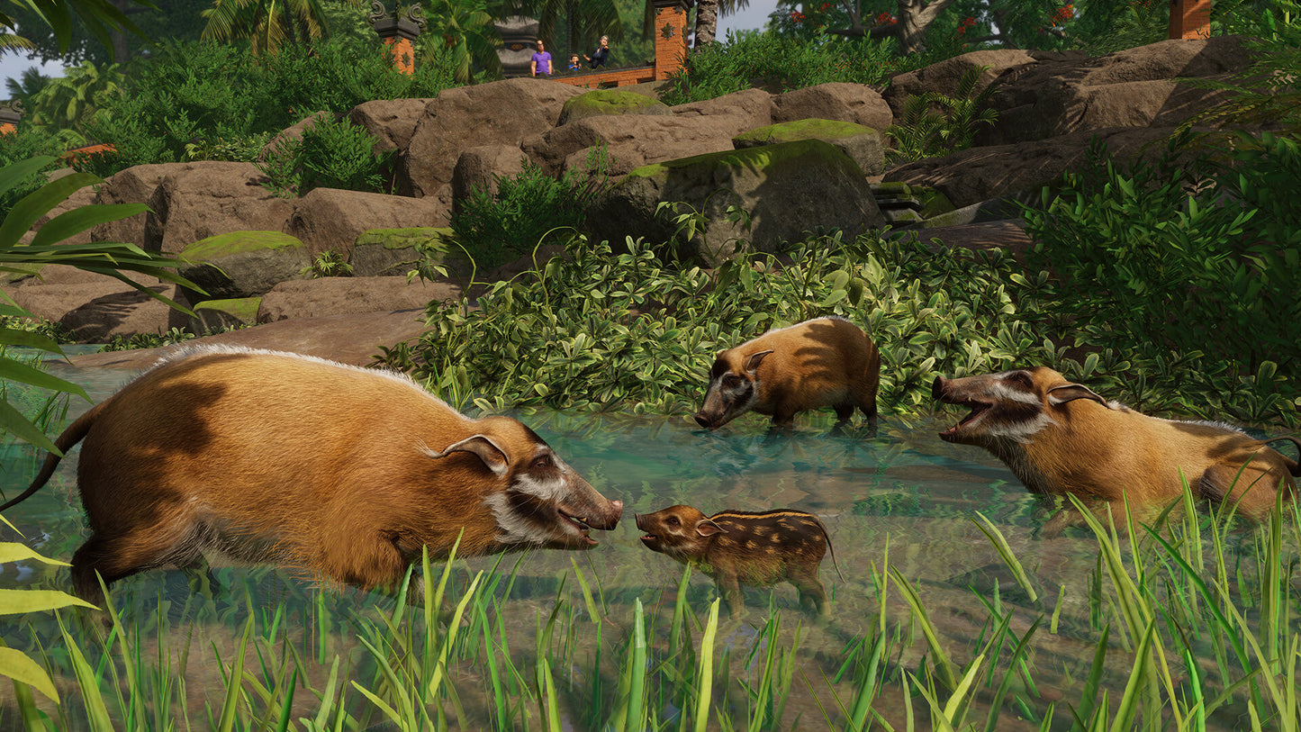 Planet Zoo: Tropical Pack DLC EU Steam CD Key   Rest of the world (RoW) - custom Frontier Developments - [Email/Instant Delivery]
