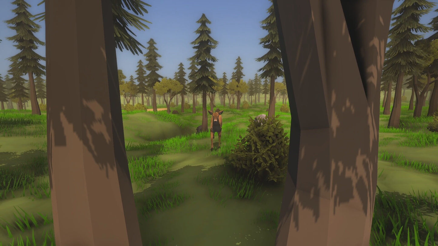 Wild Frontier Steam CD Key  REGION FREE KTH - [Email/Instant Delivery]