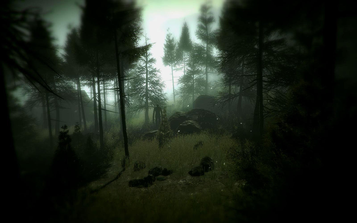 Slender: The Arrival PlayStation 4/5 Account  REGION FREE Blue Isle Publishing - [Email/Instant Delivery]