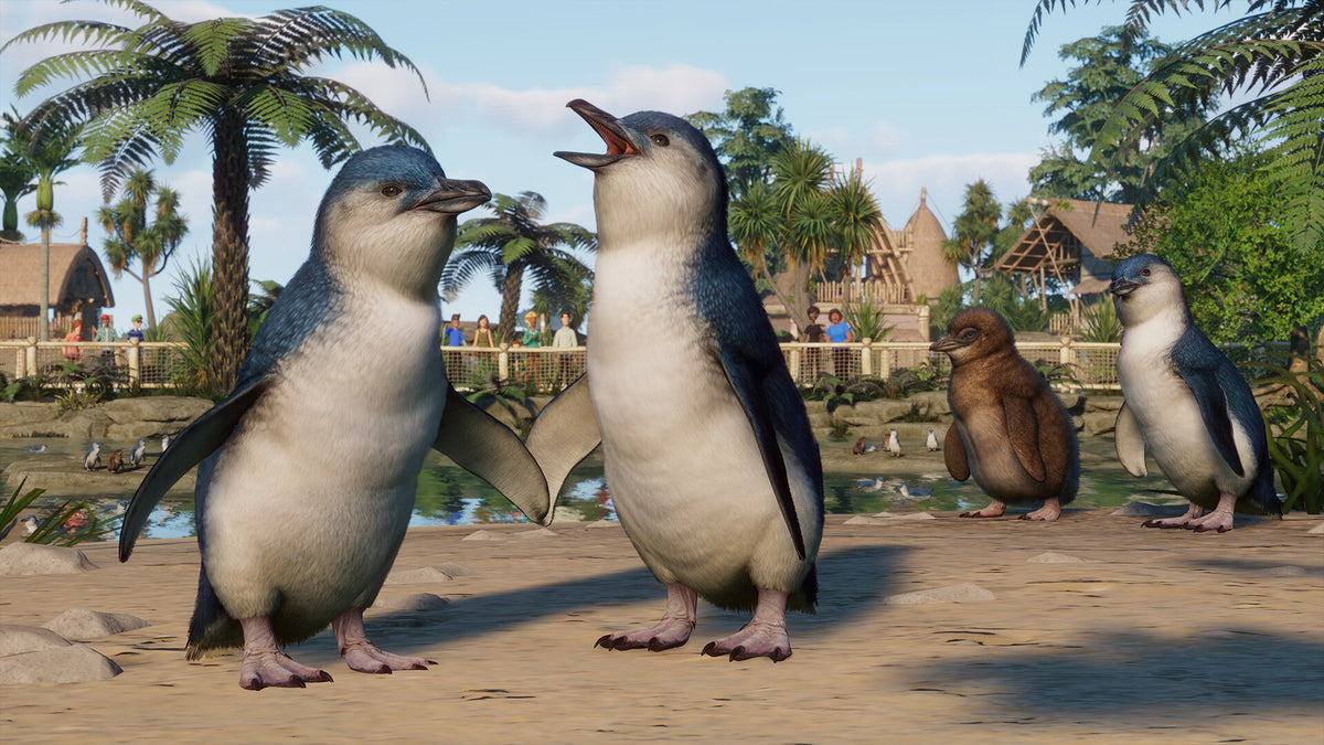 Planet Zoo - Oceania Pack DLC EU Steam CD Key   EUROPE - all countries Frontier Developments - [Email/Instant Delivery]