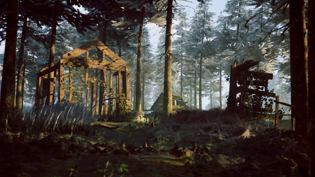 Winter Survival Steam Account  REGION FREE DRAGO entertainment - [Email/Instant Delivery]