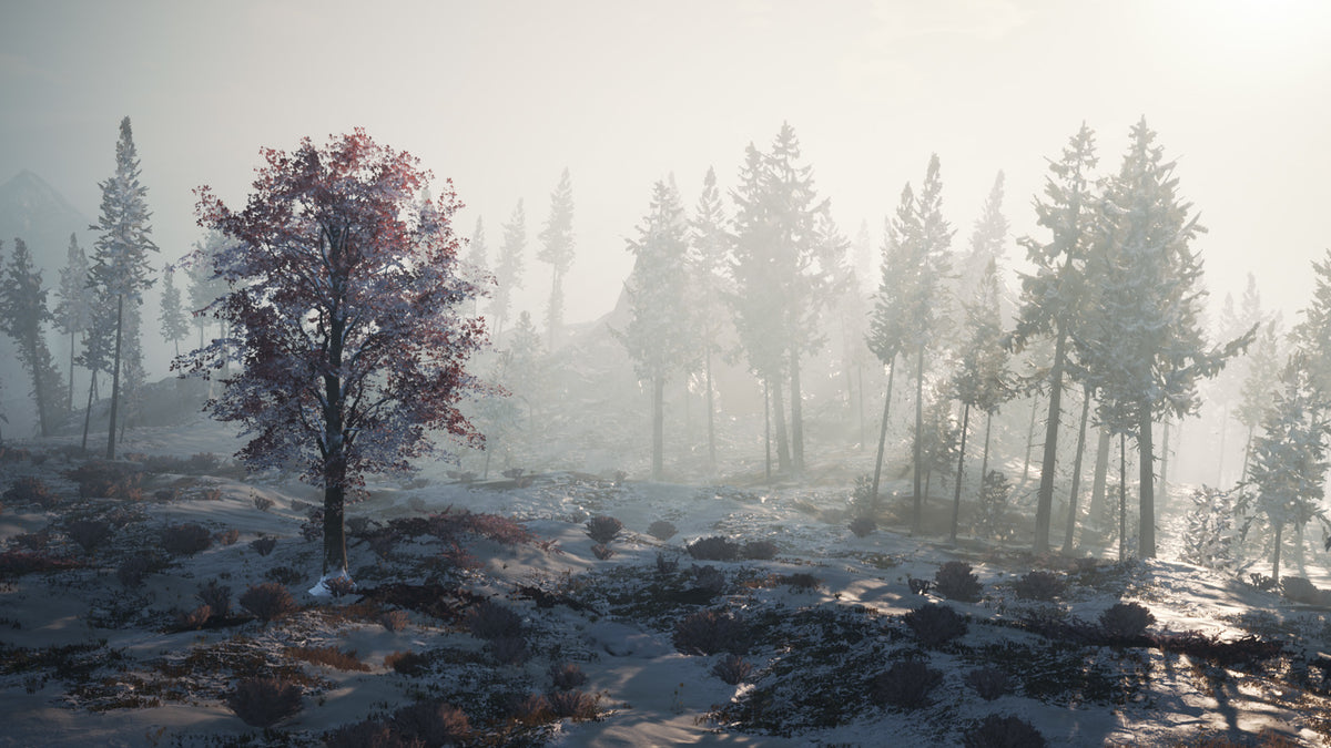 Winter Survival Steam CD Key  REGION FREE DRAGO entertainment - [Email/Instant Delivery]