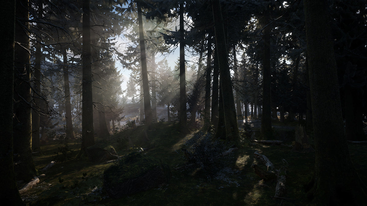 Winter Survival Steam Account  REGION FREE DRAGO entertainment - [Email/Instant Delivery]