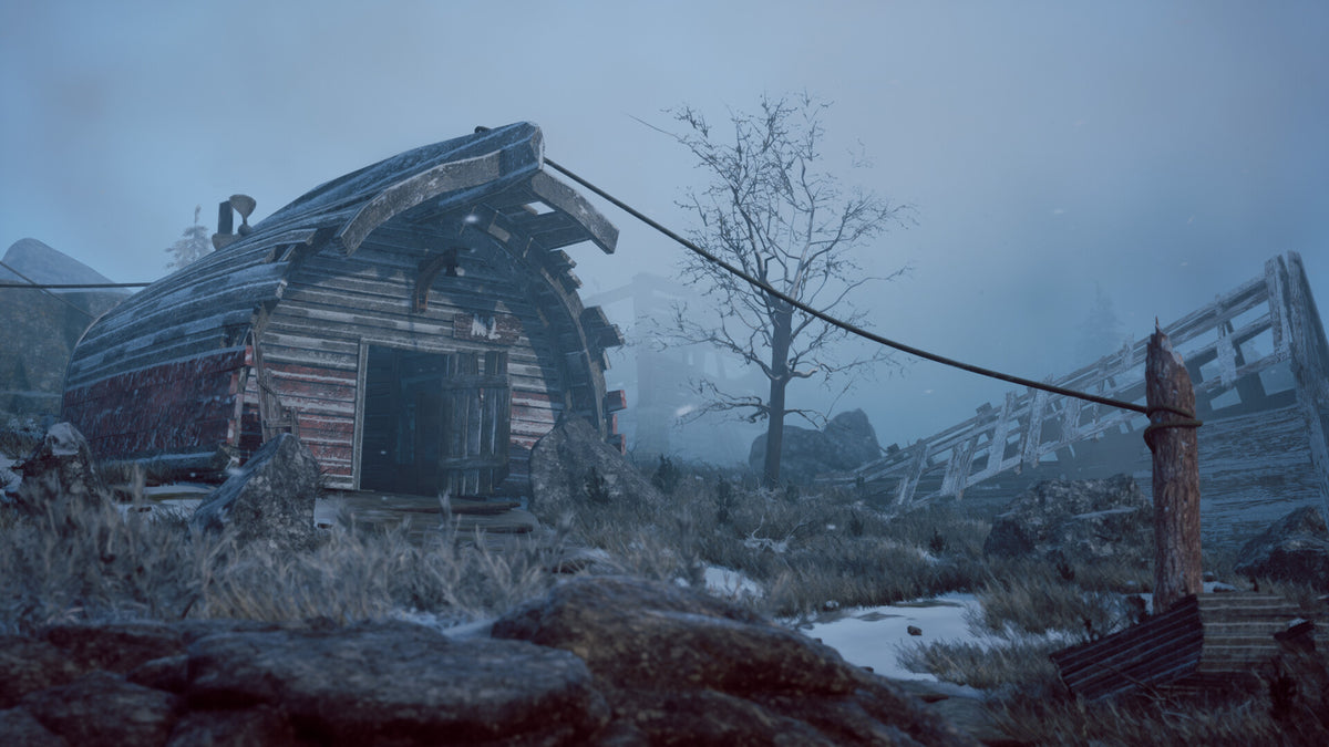 Winter Survival Steam Account  REGION FREE DRAGO entertainment - [Email/Instant Delivery]