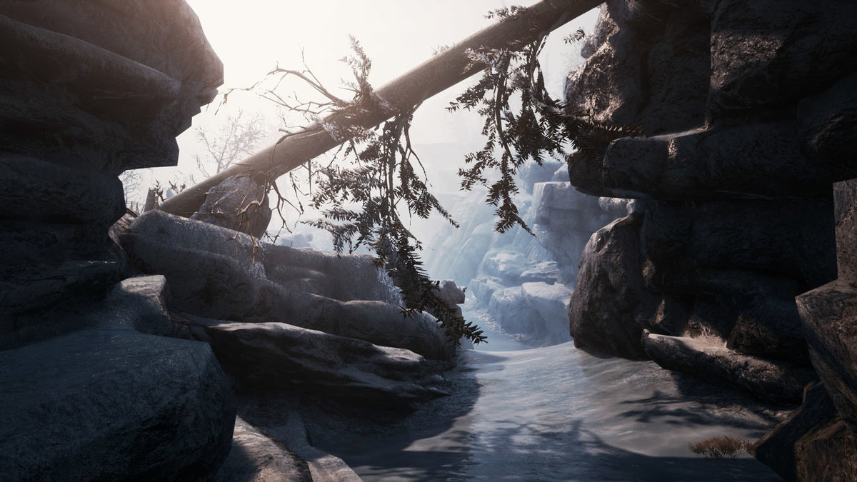 Winter Survival Steam CD Key  REGION FREE DRAGO entertainment - [Email/Instant Delivery]