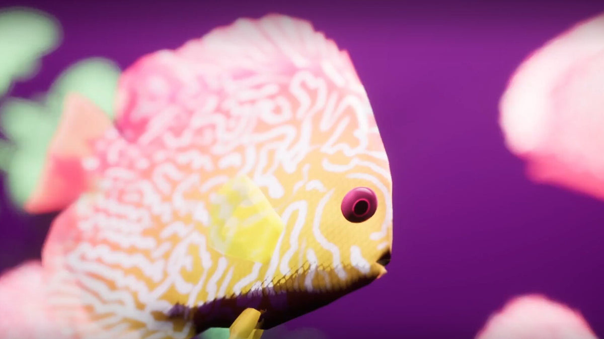 Fish Game Steam CD Key  REGION FREE A Shell in the Pit Games - [Email/Instant Delivery]