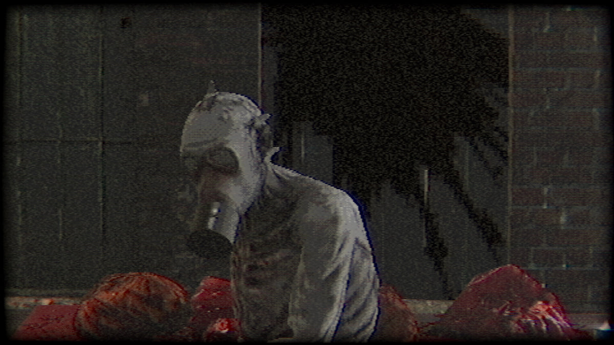Plastomorphosis PC Steam CD Key  REGION FREE VidyGames - [Email/Instant Delivery]