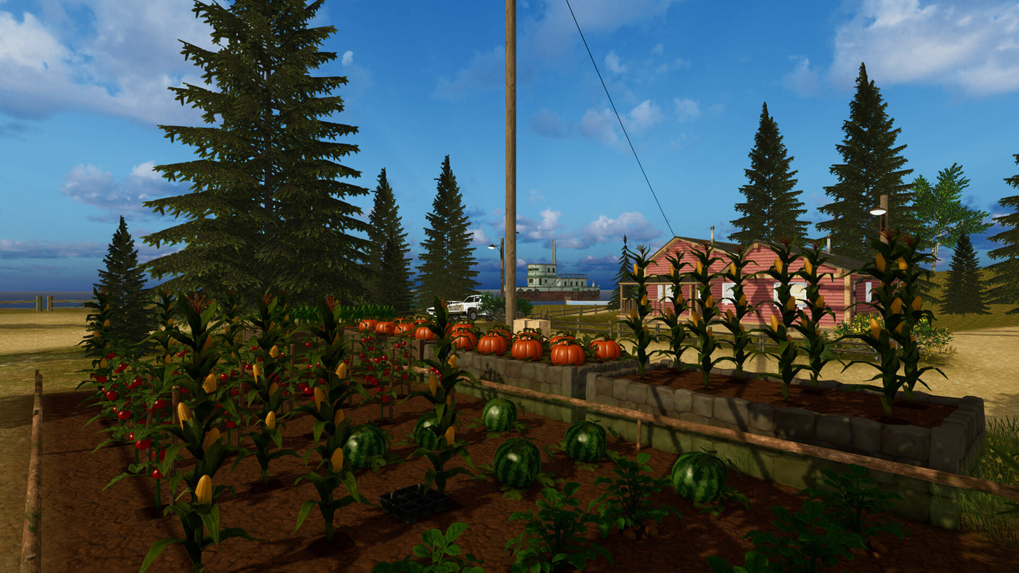 Countryside Life Simulator Steam CD Key  REGION FREE  [Email/Instant Delivery]