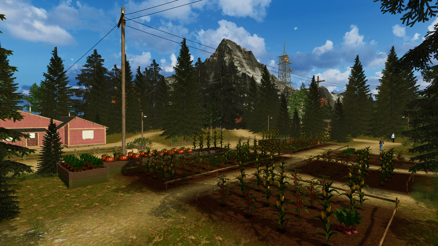 Countryside Life Simulator Steam CD Key  REGION FREE  [Email/Instant Delivery]