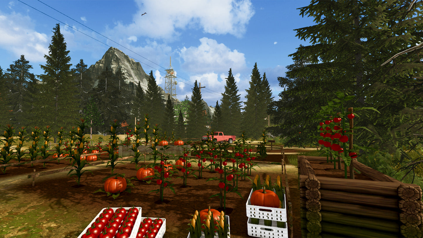 Countryside Life Simulator Steam CD Key  REGION FREE  [Email/Instant Delivery]