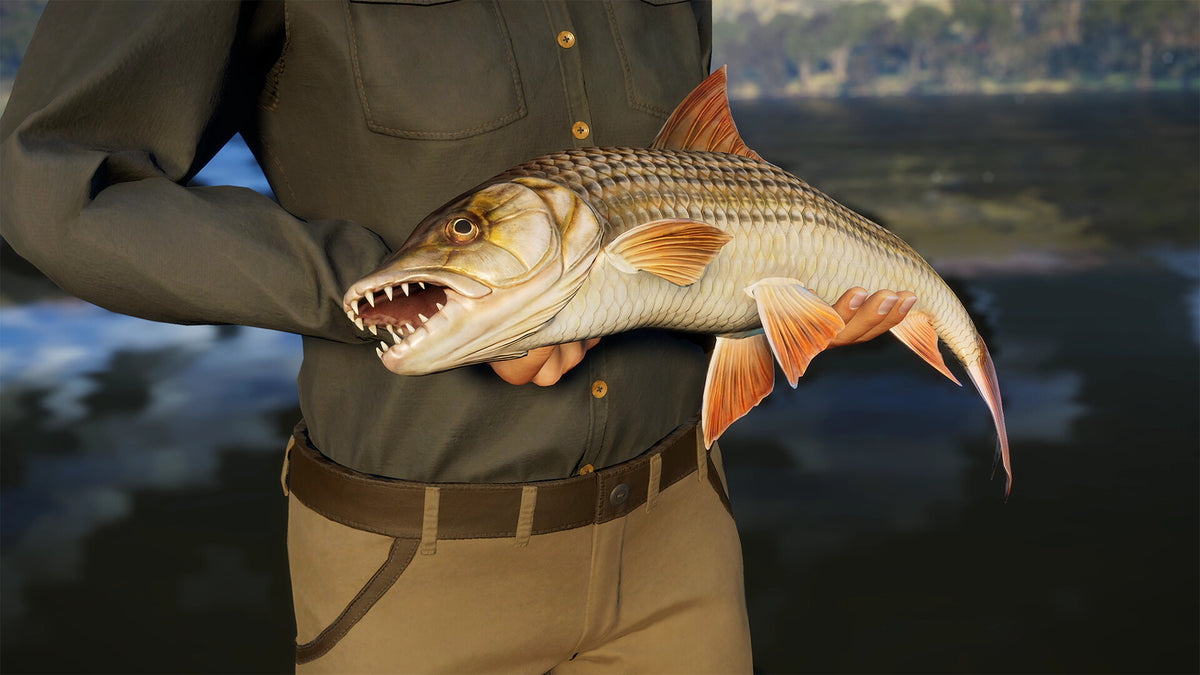 Call of the Wild: The Angler - South Africa Reserve DLC PC Steam CD Key  REGION FREE Expansive Worlds - [Email/Instant Delivery]