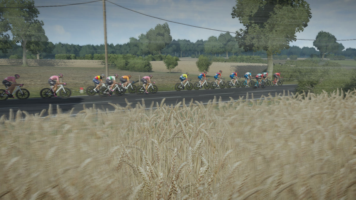 Tour de France 2024 PS4 Account PlayStation 4 -  REGION FREE Nacon - [Email/Instant Delivery]