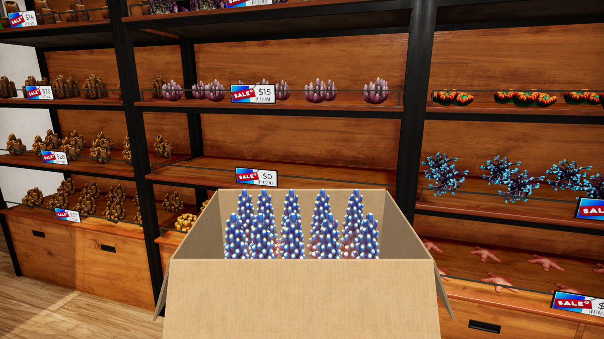 Aquatic Store Simulator PC Steam CD Key  REGION FREE FreeMind S.A. - [Email/Instant Delivery]
