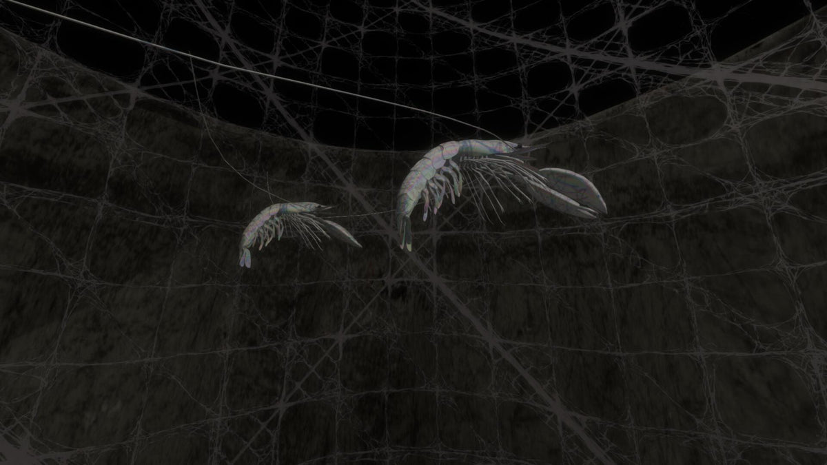 VR Film - My Inner Ear Quartet PC Steam CD Key  REGION FREE KOMODO - [Email/Instant Delivery]