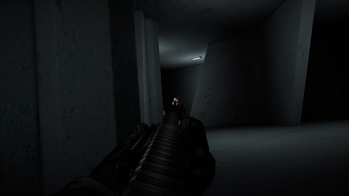 Project 1337: The Well PC Steam CD Key  REGION FREE  [Email/Instant Delivery]