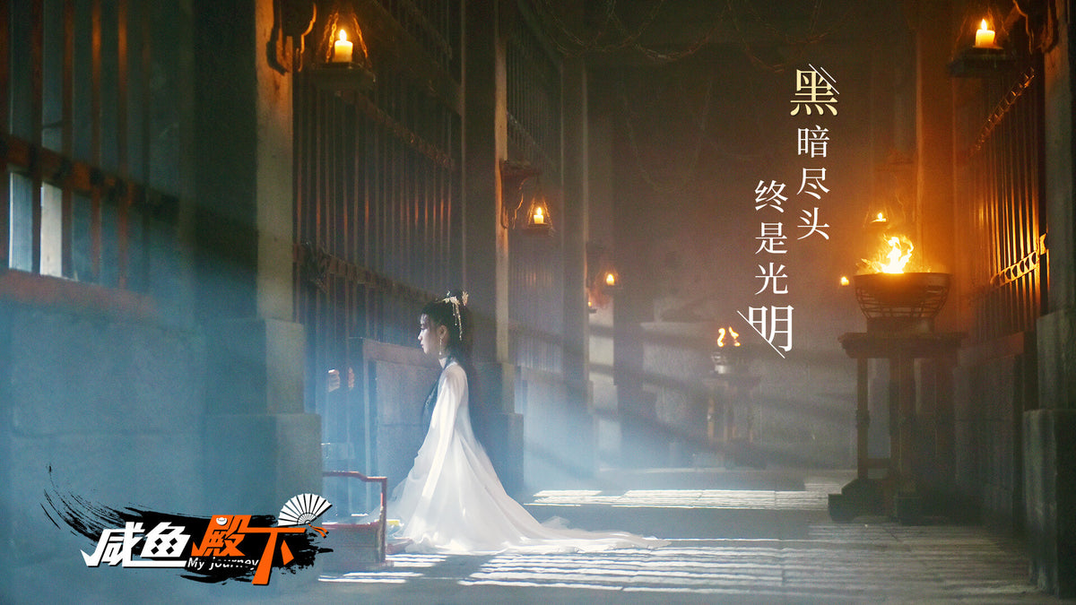 My journey (咸鱼殿下) PC Steam CD Key  REGION FREE 恭迎皇子驾到工作室 - [Email/Instant Delivery]