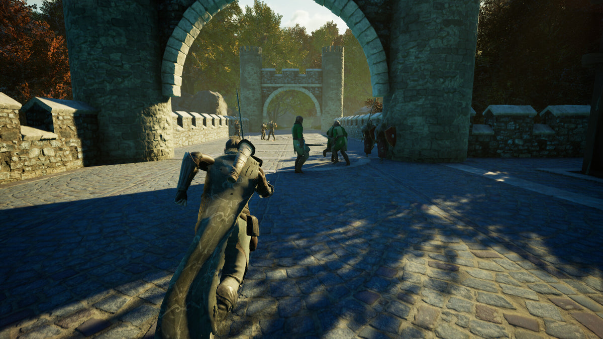 Robin Hood: Sherwood Defenders PC Steam CD Key  REGION FREE PlayWay S.A. - [Email/Instant Delivery]