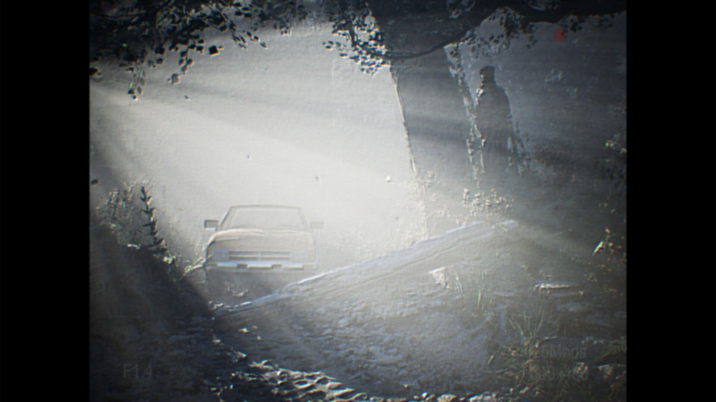 [REC] Desolation PC Steam CD Key  REGION FREE  [Email/Instant Delivery]