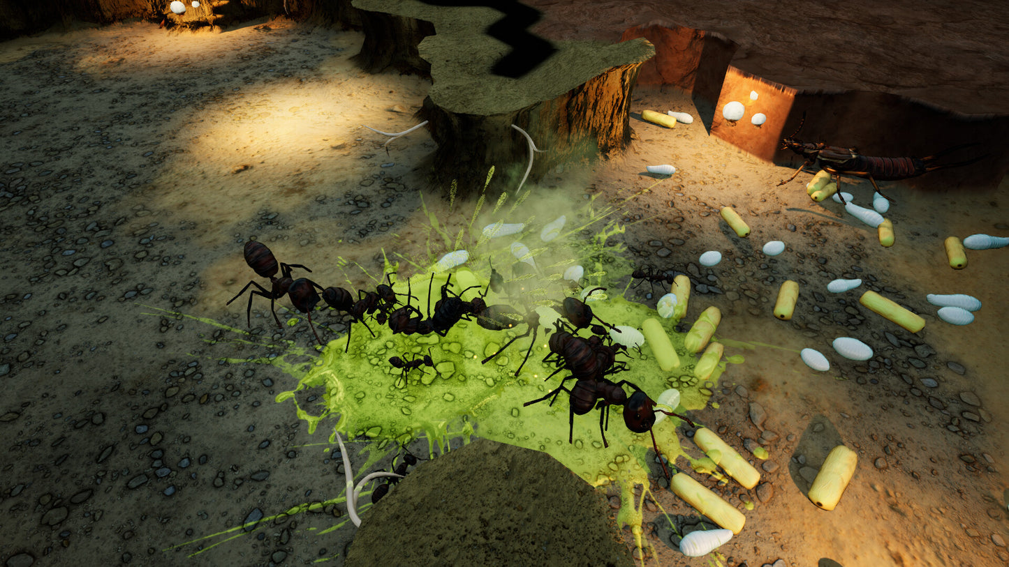 Empires of the Undergrowth - Exploding Ants DLC PC Steam CD Key  REGION FREE Hooded Horse - [Email/Instant Delivery]