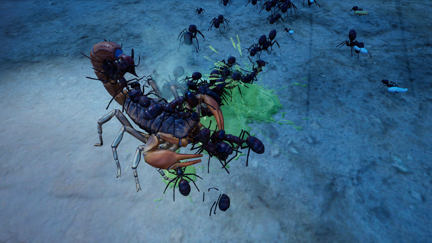Empires of the Undergrowth - Exploding Ants DLC RoW PC Steam CD Key  REST OF THE WORLD Hooded Horse - [Email/Instant Delivery]