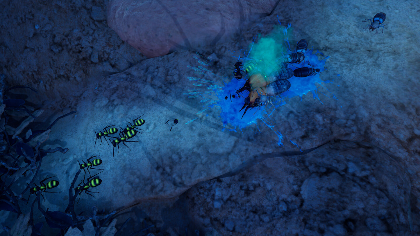 Empires of the Undergrowth - Exploding Ants DLC PC Steam CD Key  REGION FREE Hooded Horse - [Email/Instant Delivery]
