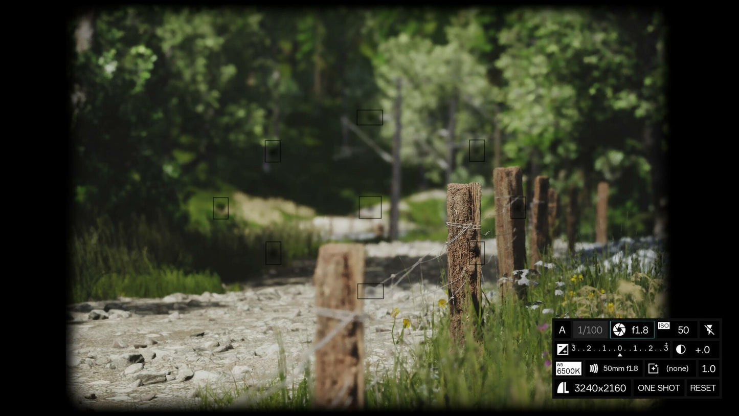 Lushfoil Photography Sim PC Steam CD Key  REST OF THE WORLD Annapurna Interactive - [Email/Instant Delivery]