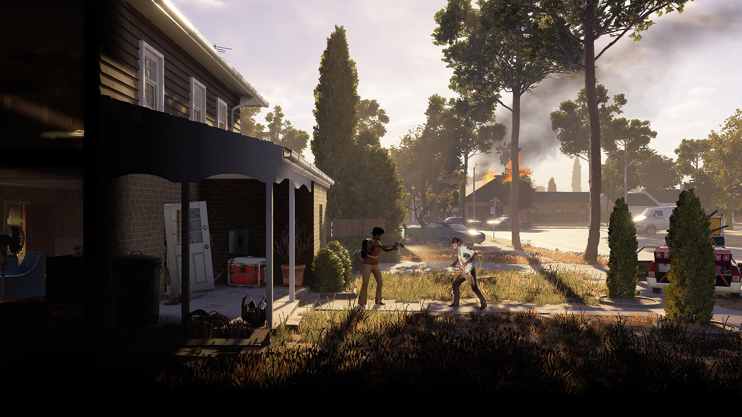 Into the Dead: Our Darkest Days PC Steam Account  REGION FREE PikPok - [Email/Instant Delivery]