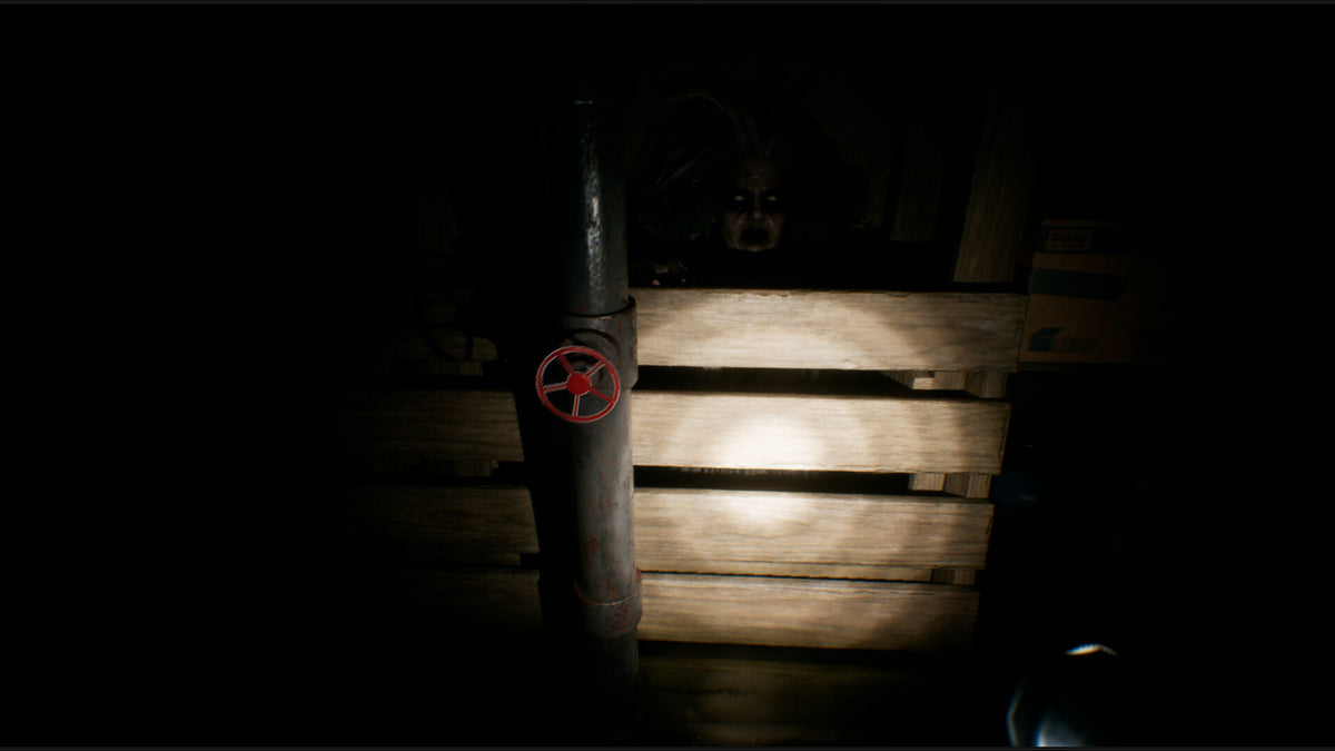 House of Lost Souls PC Steam CD Key  REGION FREE Arkuda Inc. - [Email/Instant Delivery]