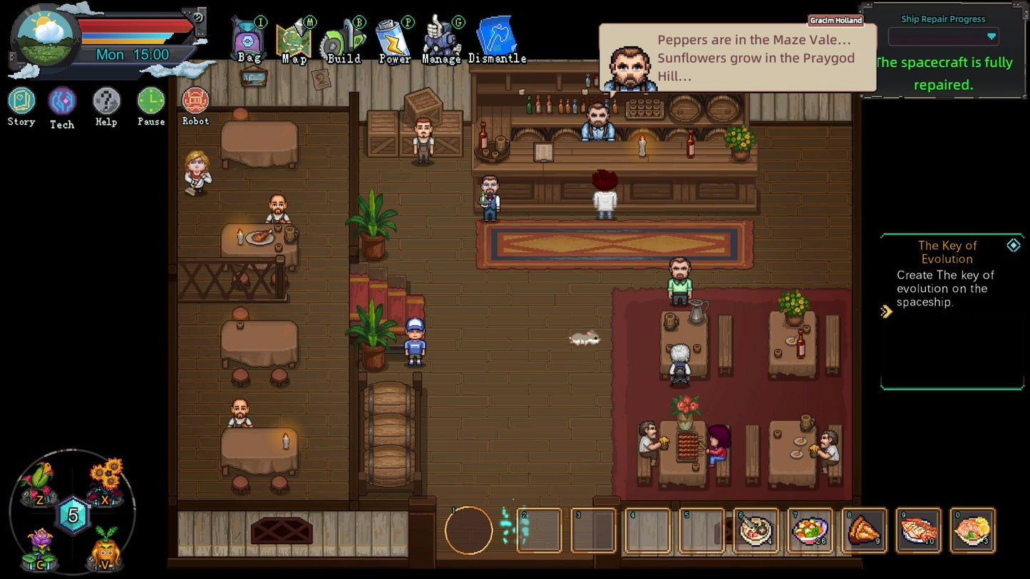 Faun Town PC Steam CD Key  REGION FREE 2P Games - [Email/Instant Delivery]