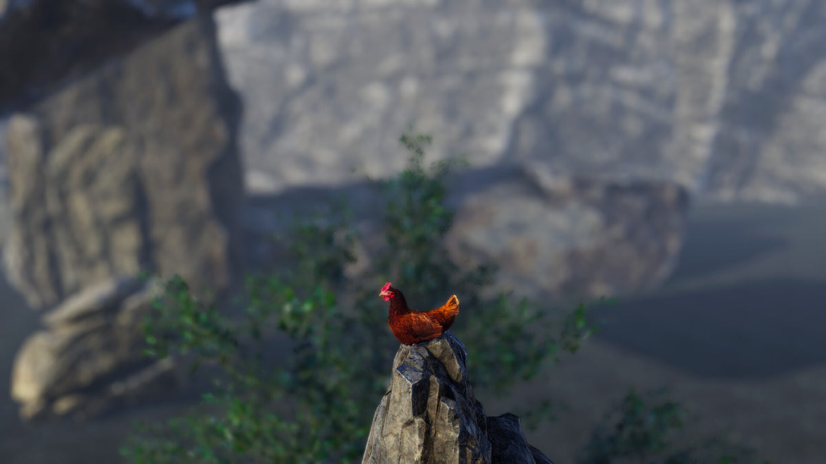 Unlucky Chicken PC Steam CD Key  REGION FREE Jibeijia - [Email/Instant Delivery]