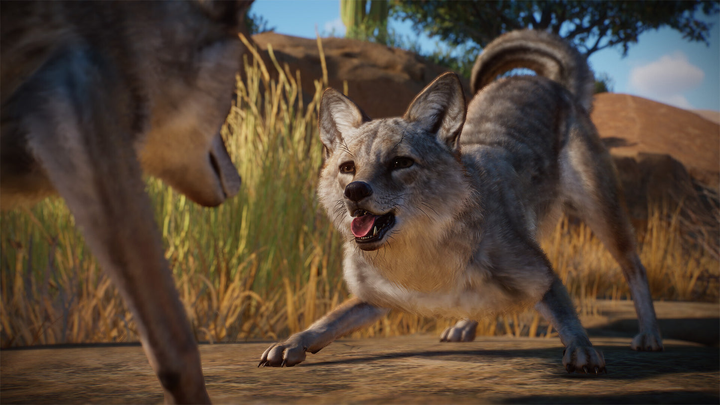 Planet Zoo - Americas Animal Pack DLC PC Steam CD Key  REGION FREE Frontier Developments - [Email/Instant Delivery]