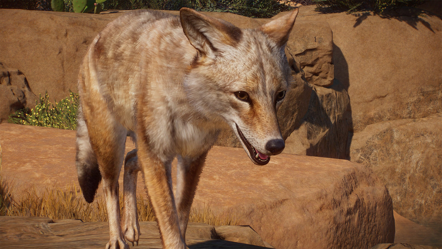 Planet Zoo - Americas Animal Pack DLC PC Steam CD Key  REGION FREE Frontier Developments - [Email/Instant Delivery]