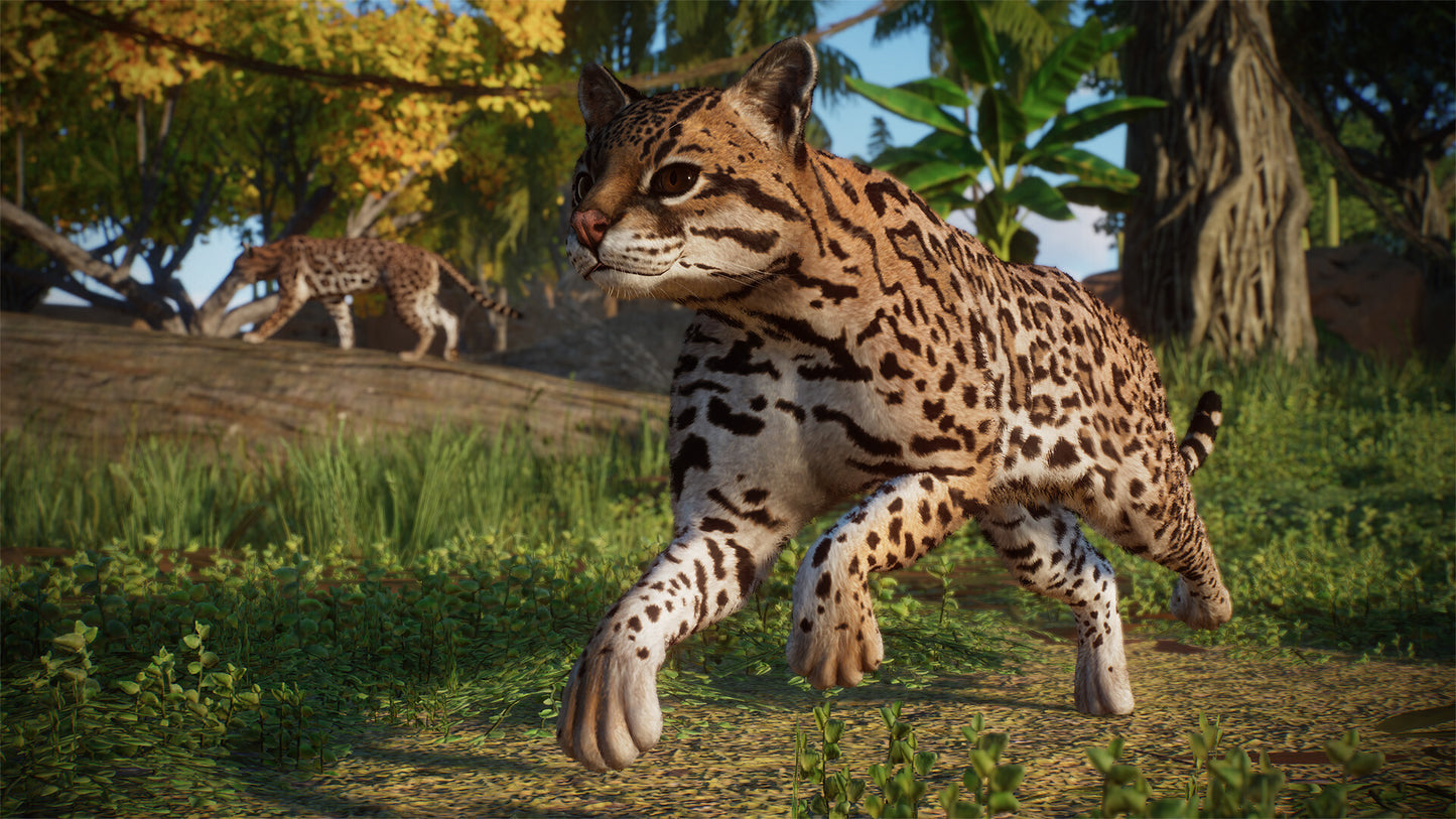 Planet Zoo - Americas Animal Pack DLC RoW PC Steam CD Key  REST OF THE WORLD Frontier Developments - [Email/Instant Delivery]