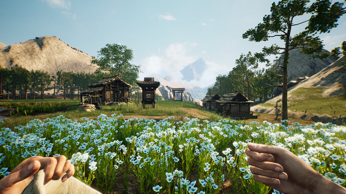 Chinese Frontiers PC Steam CD Key  REGION FREE Big Cheese Studio - [Email/Instant Delivery]