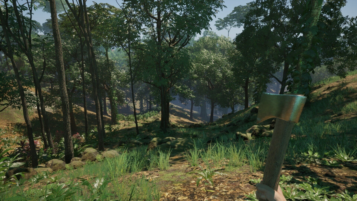 Bandeirantes: The Game. PC Steam CD Key  REGION FREE  [Email/Instant Delivery]