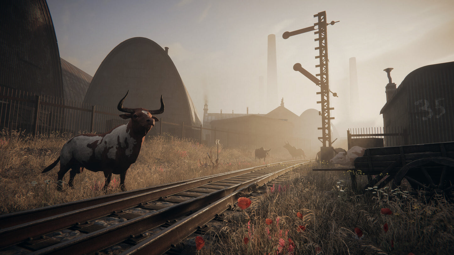 Pathologic 3 PC Steam Account  REGION FREE HypeTrain Digital - [Email/Instant Delivery]