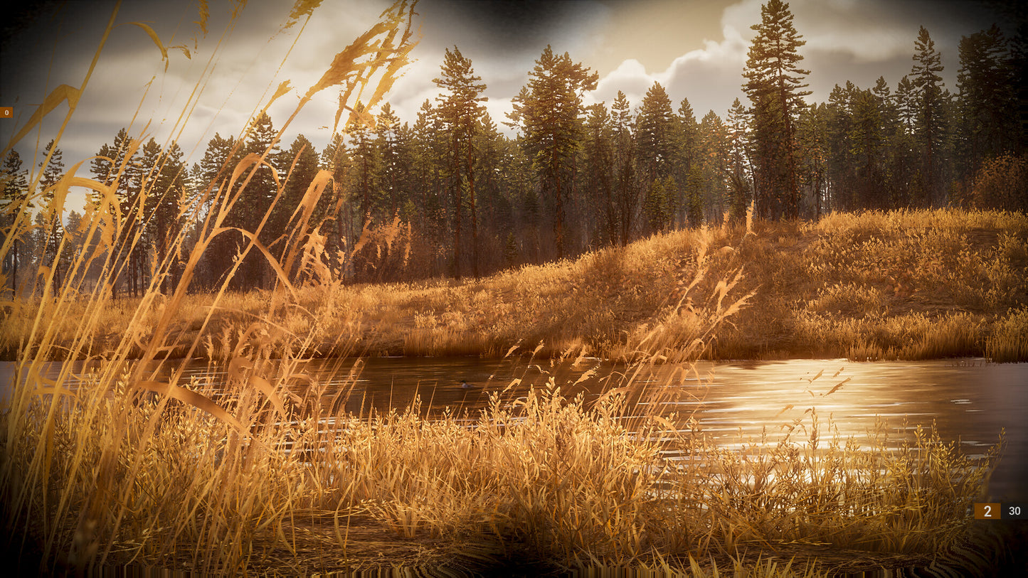BULT: Hunting simulator PC Steam CD Key  REGION FREE Ykt Games - [Email/Instant Delivery]