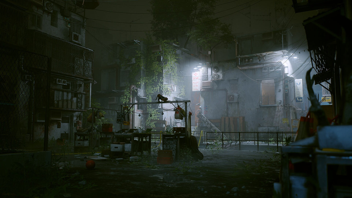 Stray (PC) - Steam Gift - GLOBAL   - Annapurna Interactive [Email/Instant Delivery]