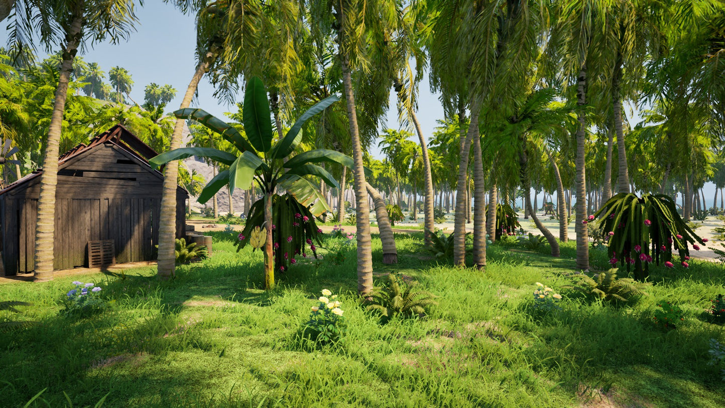 Dig Island PC Steam Account  REGION FREE FiftyEight Studios - [Email/Instant Delivery]