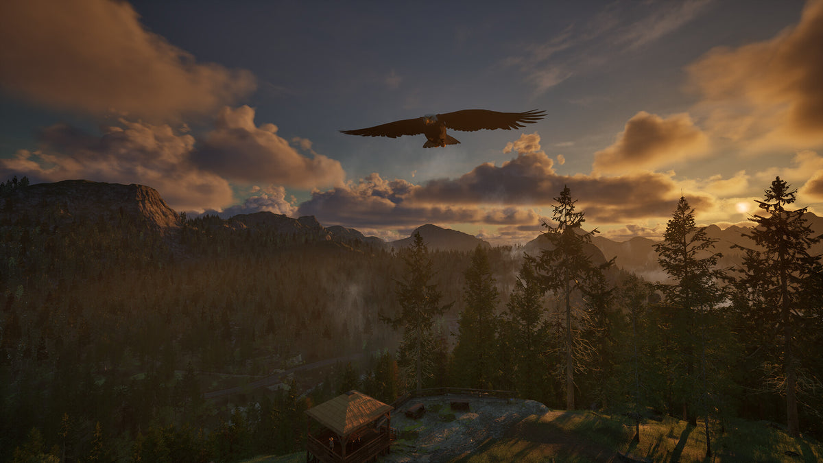 Ranger’s Path: National Park Simulator PC Steam Altergift  REST OF THE WORLD astragon Entertainment - [Email/Instant Delivery]