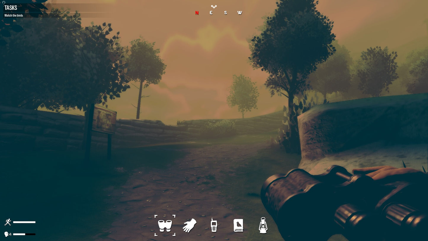 Birds Watching PC Steam CD Key  REGION FREE Studio Ortica - [Email/Instant Delivery]