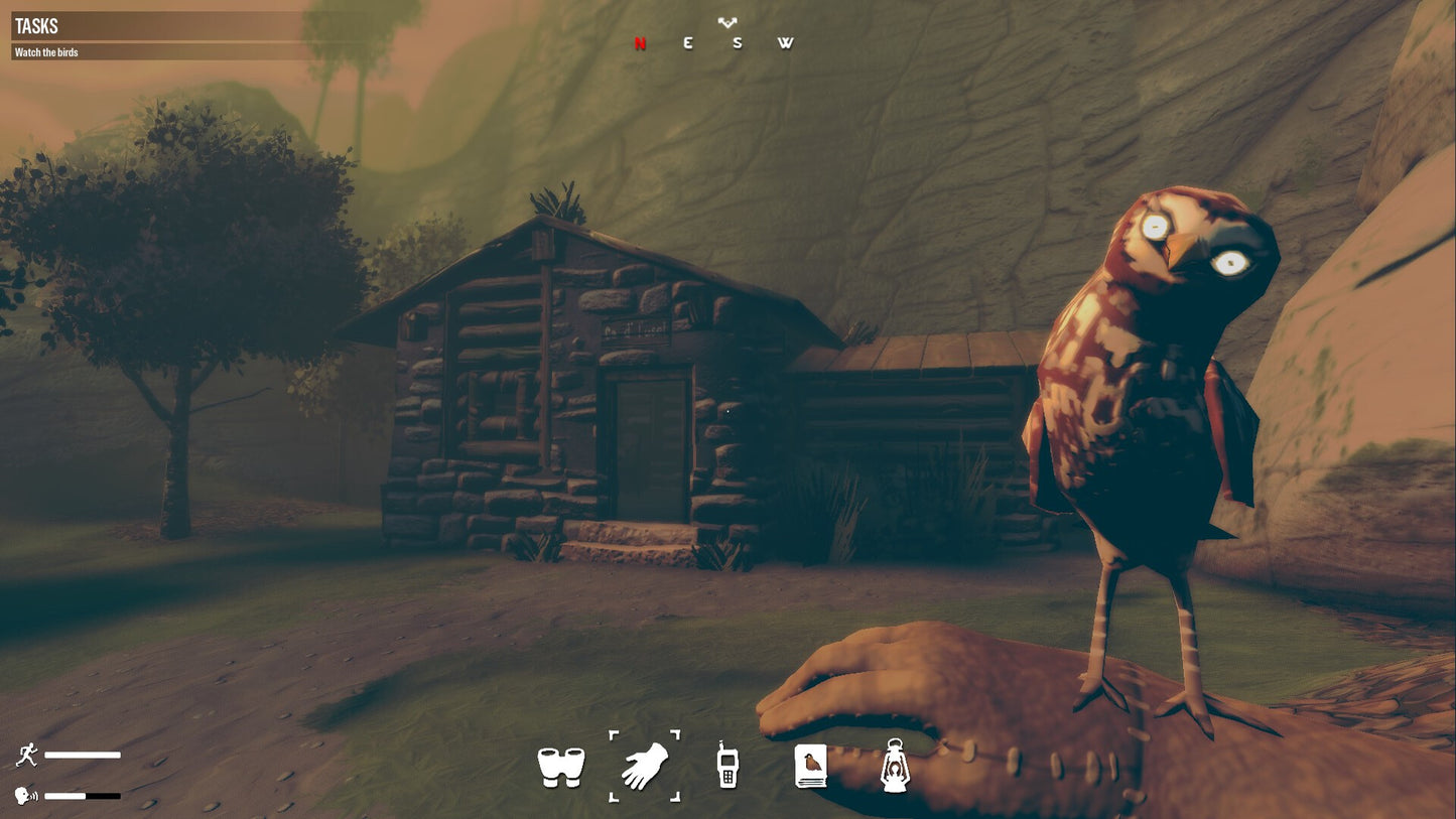 Birds Watching PC Steam CD Key  REGION FREE Studio Ortica - [Email/Instant Delivery]